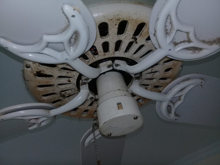 Ceiling Fan Before Restoration